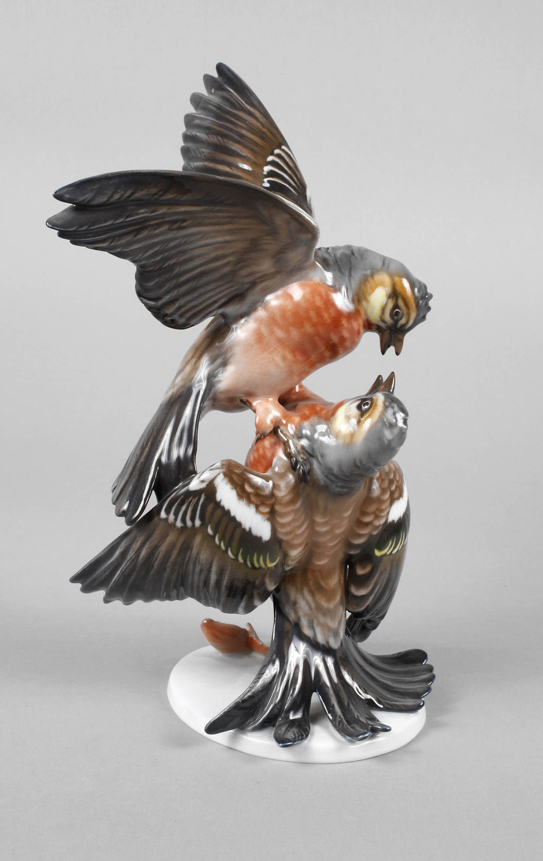 Rosenthal kämpfende Buchfinken