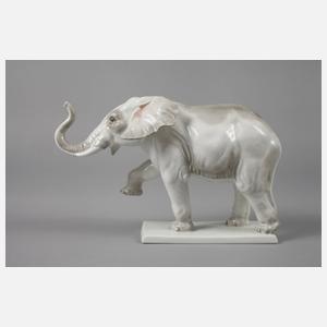 Rosenthal schreitender Elefant