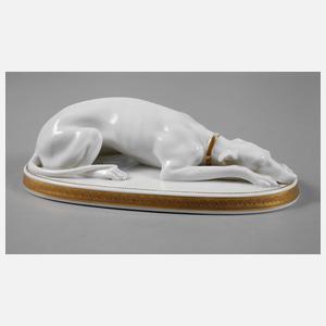 Schlaggenwald liegender Windhund