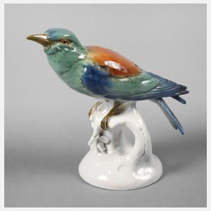 Schwarzburg Blauracke