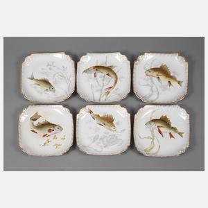 Bonn sechs Fischteller