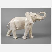 Rudolstadt schreitender Afrikanischer Elefant111