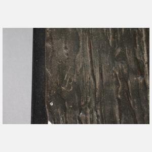 Anton Büschelberger, Skifahrer