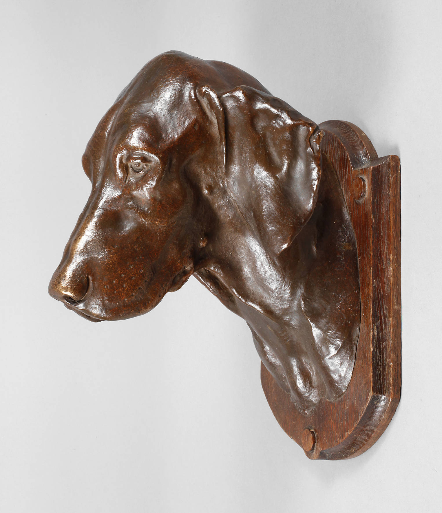 Edmund Klotz, Kopf eines Jagdhundes