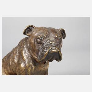 Sitzende Bulldogge
