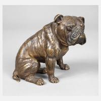Sitzende Bulldogge111