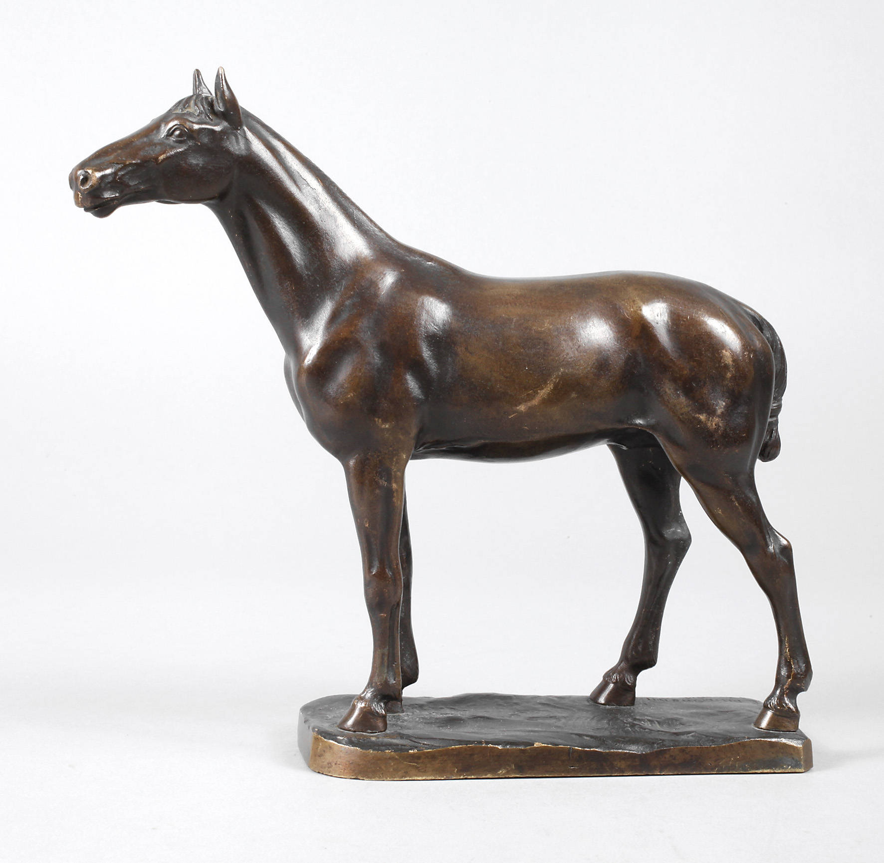 Franz Thiermann, stehendes Pferd