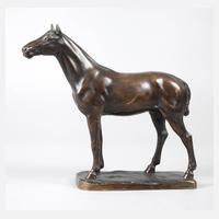 Franz Thiermann, stehendes Pferd111