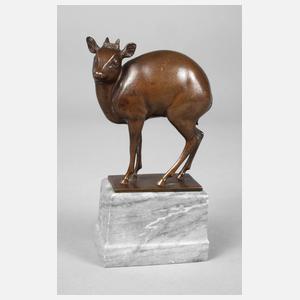 Fritz Behn, Zwergantilope