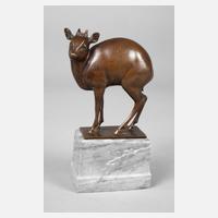 Fritz Behn, Zwergantilope111