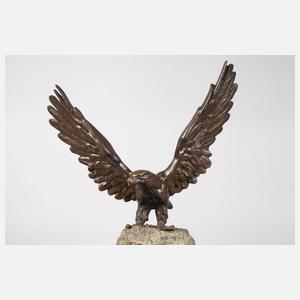 Bronze Adler