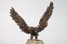 Bronze Adler