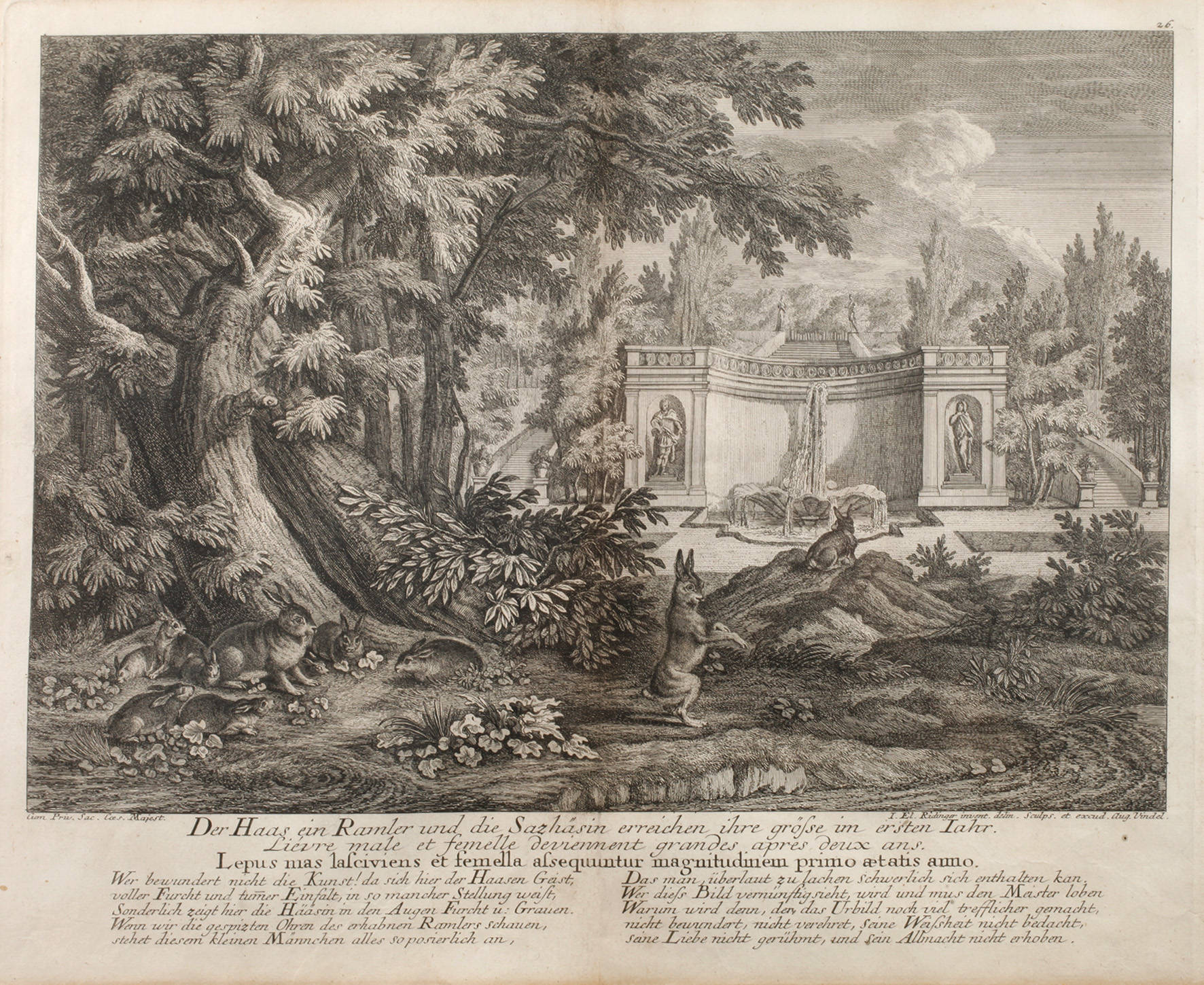 Johann Elias Ridinger, Parklandschaft mit Hasen