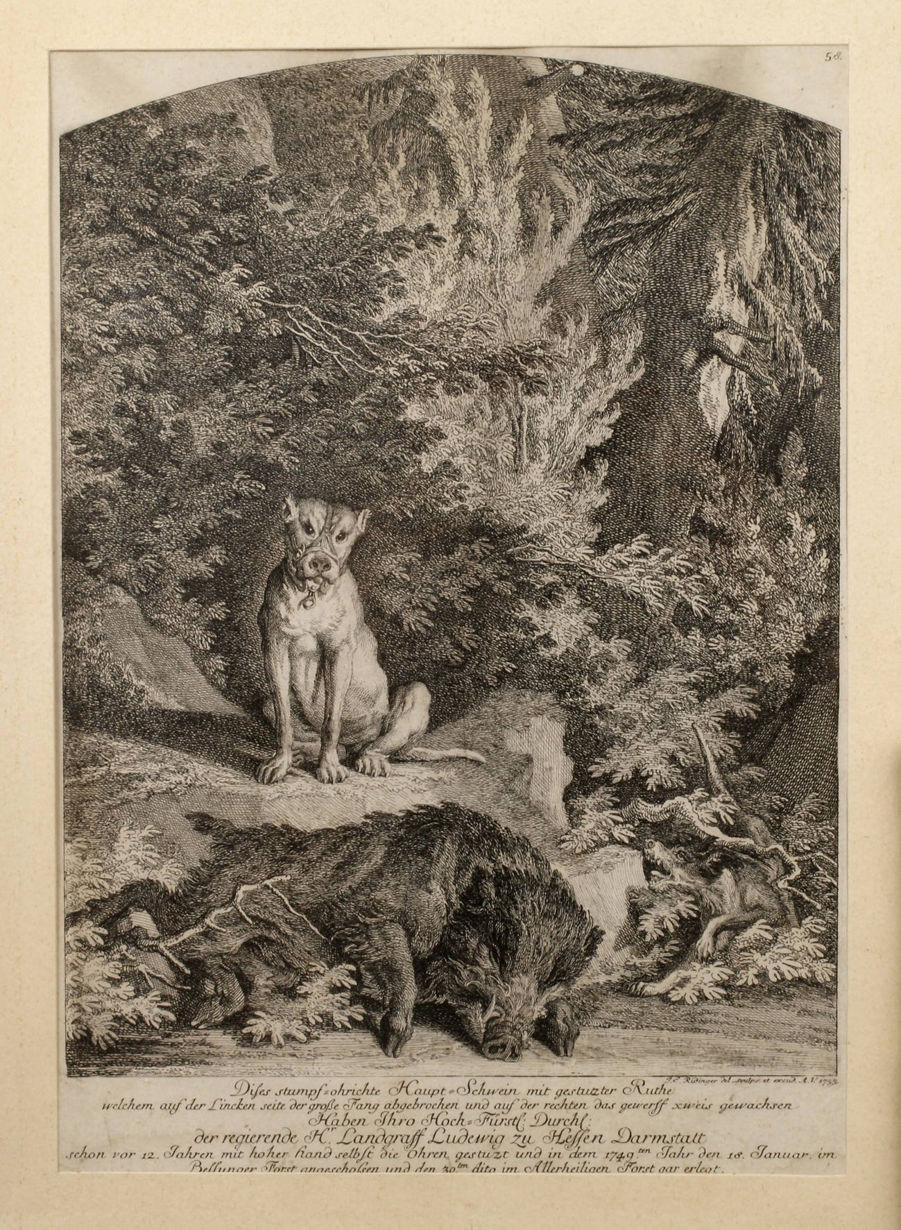 Johann Elias Ridinger, Wildschweinjagd