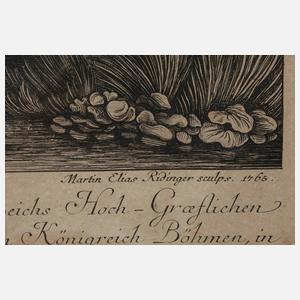 Martin Elias Ridinger, Rehbock mit abnormen Geweih