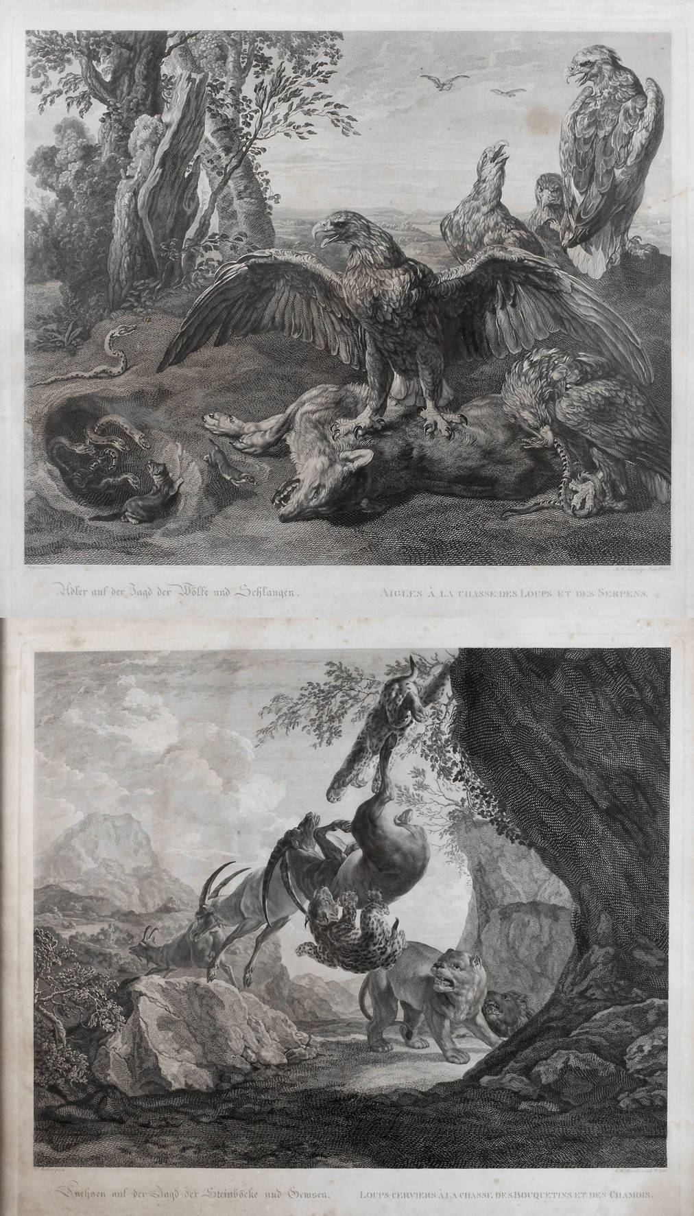 Jacob Matthias Schmutzer, Paar Kupferstiche