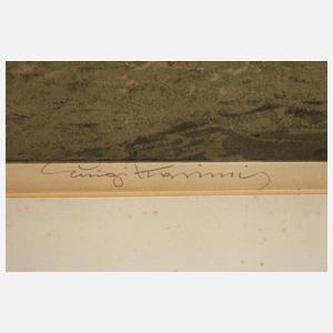 Prof. Luigi Kasimir, Hamburger Hafen