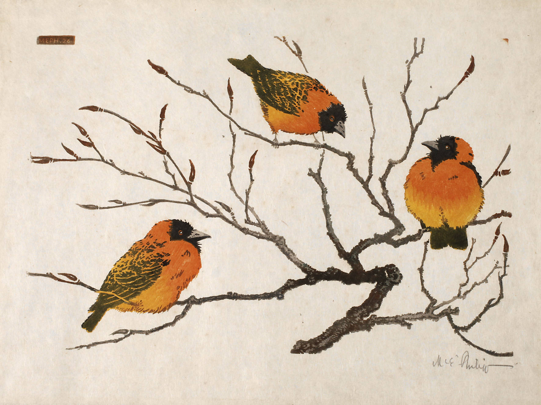 Martin Erich Philipp, ”Webervögel”