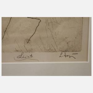 Portrait Franz Liszt