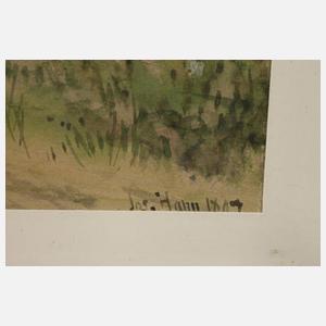 Joseph Hahn, Kleinstadtszene