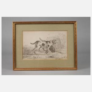 A. Souchay, Jagdhunde