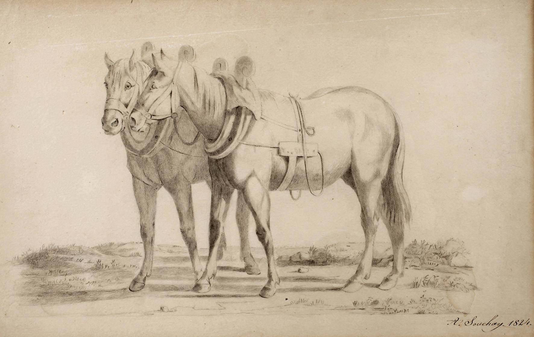 A. Souchay, Pferdedarstellung