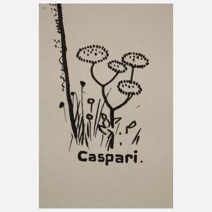 Walther Caspari, Opfer des Autoverkehrs