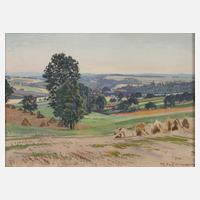 Hans Salzmann, Landschaft bei Weimar111