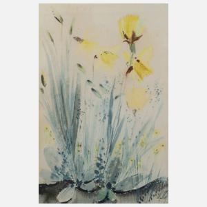 Karl Wilhelm Wolf, Märzenbecher