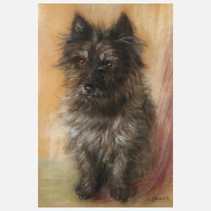 Maud D. Heaps, Cairn Terrier