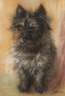Maud D. Heaps, Cairn Terrier
