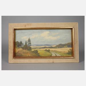 Siegfried Hauffe, Vogtländische Sommerlandschaft