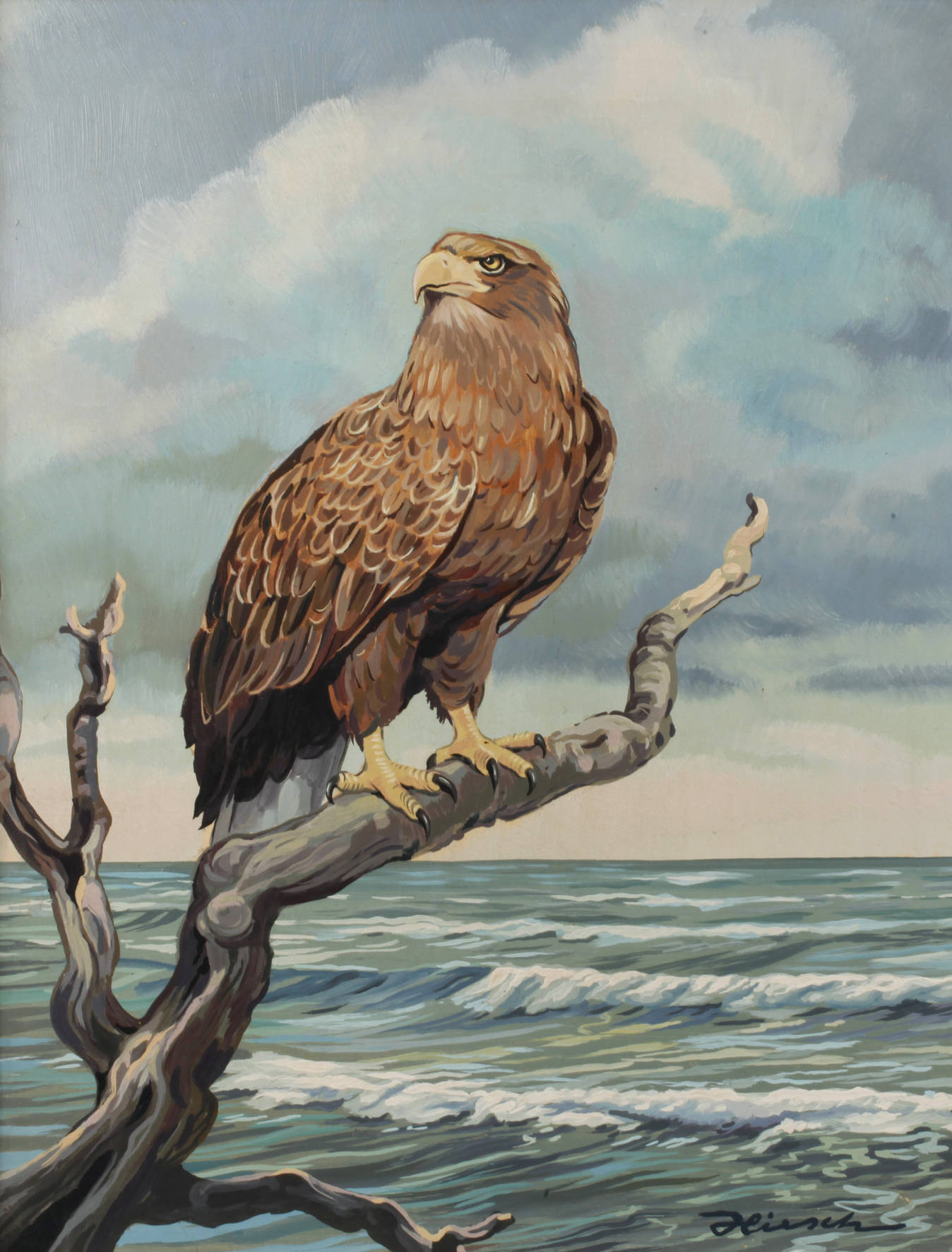 Alfred Hirsch, Seeadler