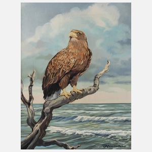 Alfred Hirsch, Seeadler