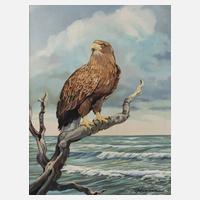 Alfred Hirsch, Seeadler111