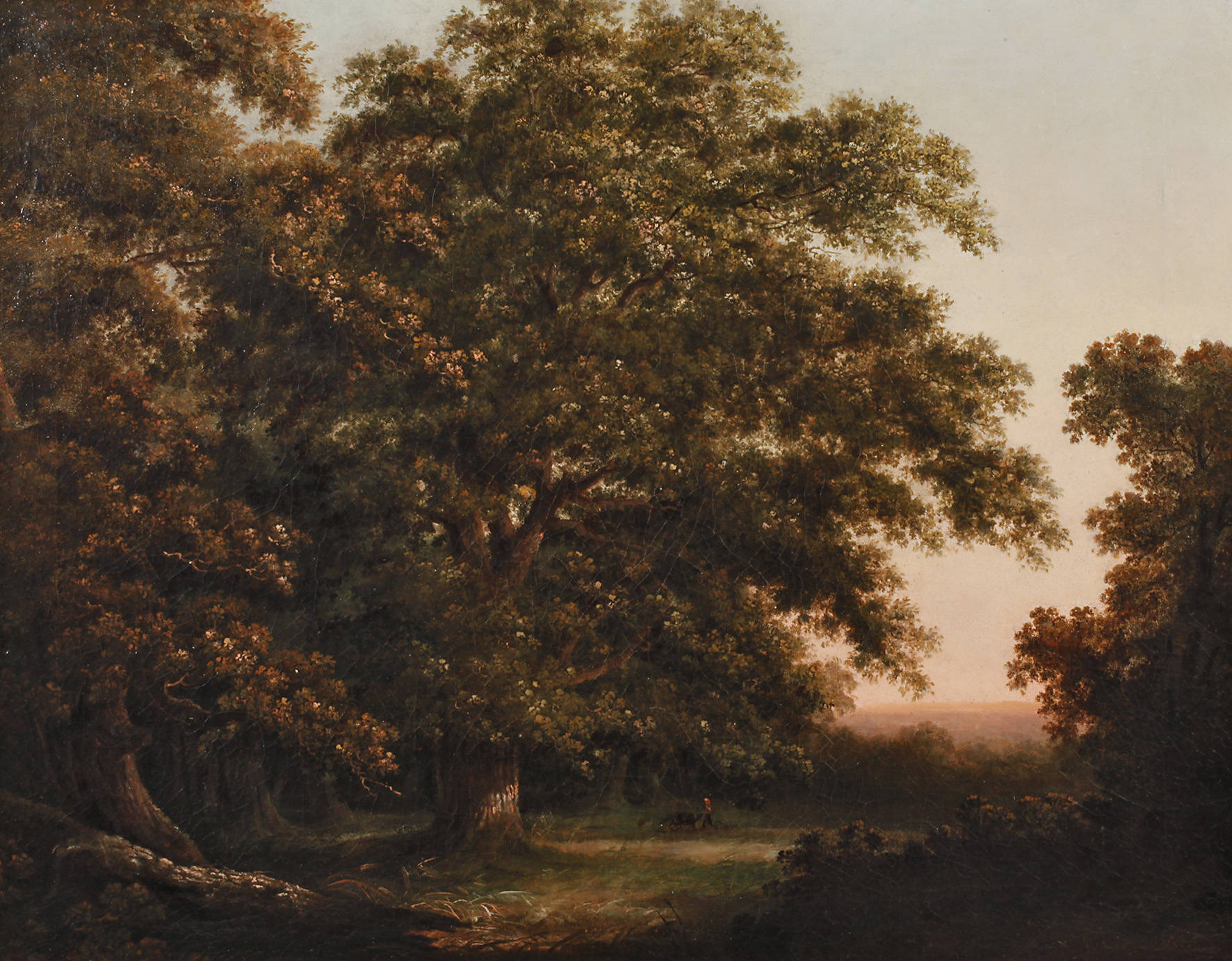 Romantische Waldlandschaft