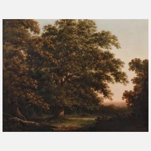 Romantische Waldlandschaft