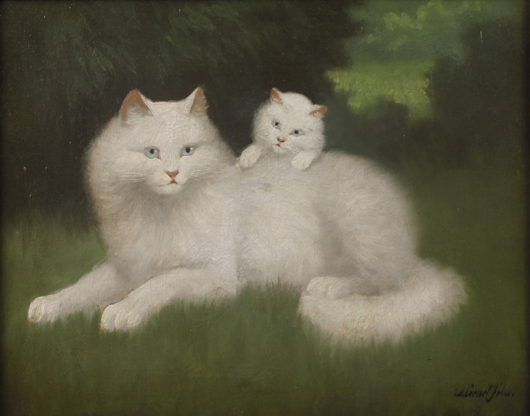 Béla Czene der Ältere, Katzenbildnis