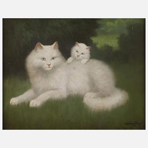 Béla Czene der Ältere, Katzenbildnis