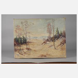 Walter Helmrich, Winterlandschaft