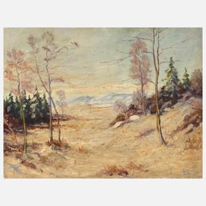 Walter Helmrich, Winterlandschaft