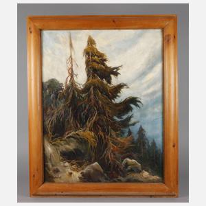 Max Herterich, Fichten im Gebirge