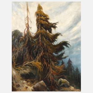 Max Herterich, Fichten im Gebirge