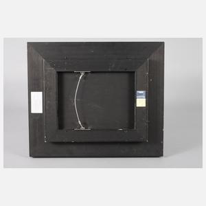 Aad Hofman, ”Bücher”