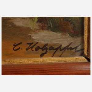 Prof. Carl Holzapfel, Bachlandschaft