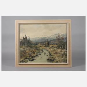 Franz Krippendorf, Hochmoor in den Alpen