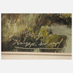 Franz Krippendorf, Hochmoor in den Alpen