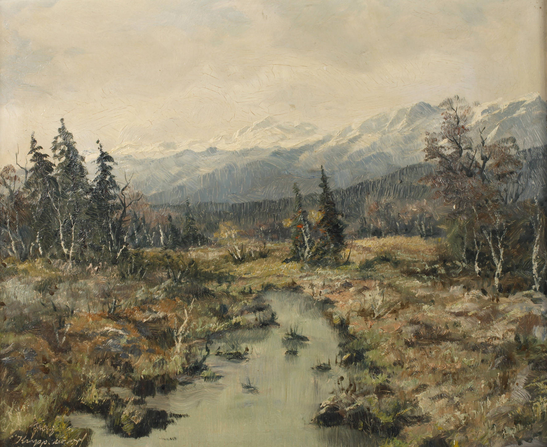 Franz Krippendorf, Hochmoor in den Alpen