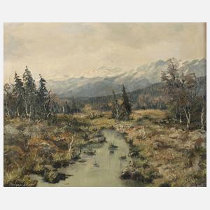 Franz Krippendorf, Hochmoor in den Alpen