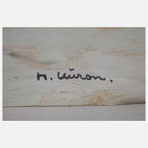 Herbert Kuron, ”Brunnenbergbauden Riesengebirge”